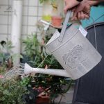 Arrosoir en zinc aux motifs fleuris pour l'extérieur