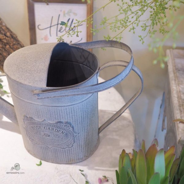 Arrosoir en zinc, accessoire de jardinage élégant