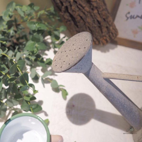 Arrosoir décoratif en zinc pour arroser les plantes