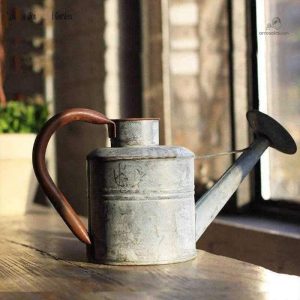 Arrosoir galvanisé vintage pour l'arrosage des plantes