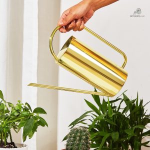 Arrosoir doré haut de gamme élégant et raffiné