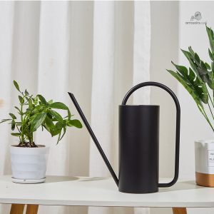 Design chic d'arrosoir doré pour votre jardin