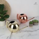 Arrosoir Inox 1 Litre pour un arrosage pratique