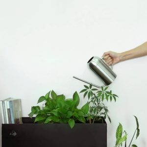 Design élégant de l'arrosoir inox 1.5L