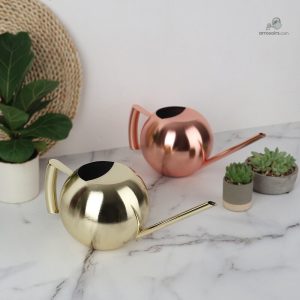 Arrosoir Inox 1 Litre pour un arrosage pratique