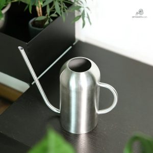Arrosoir léger en inox, idéal pour les plantes d'intérieur