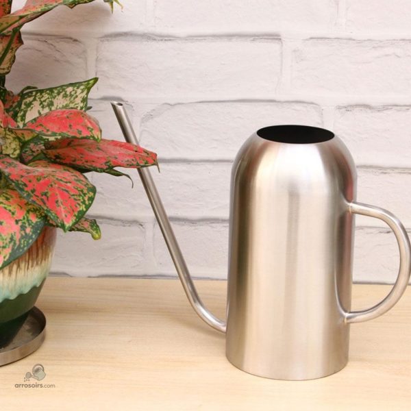 Arrosoir de 1.5L, un outil de jardinage essentiel