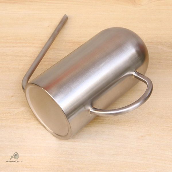 Compact et stylé, arrosoir inox 1.5L pour la maison
