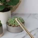 Pratique arrosoir inox 1L, parfait pour le jardinage urbain