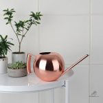 Design élégant en inox pour un arrosage efficace