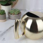 Petit arrosoir en inox, idéal pour les plantes d'intérieur