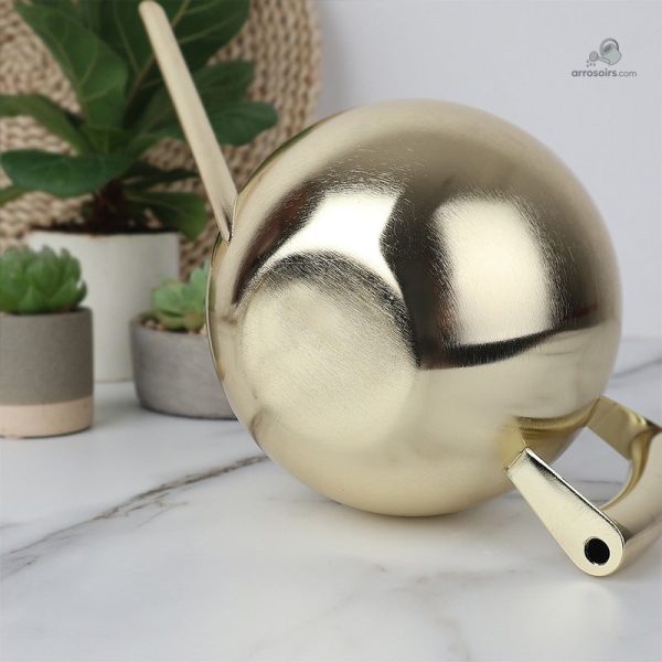 Accessoire de jardin en inox, arrosoir d'un litre