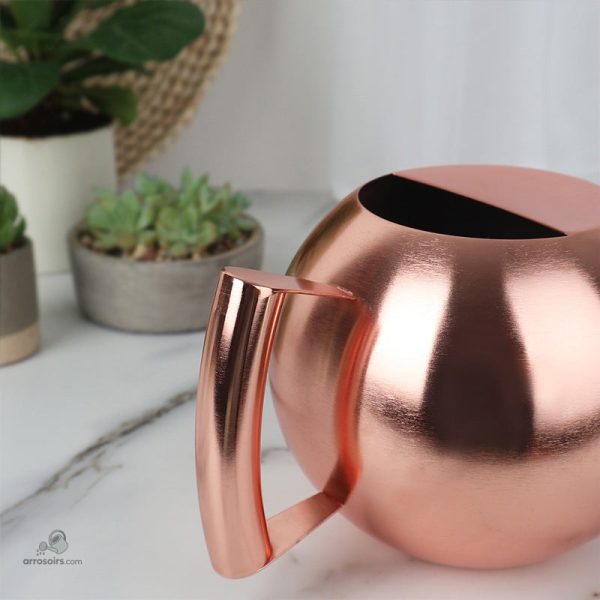 Arrosoir 1 litre en inox, léger et durable