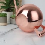 Arrosoir en inox pour un arrosage précis des fleurs