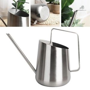 Arrosoir moderne, idéal pour la décoration intérieure