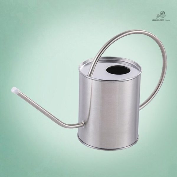 Arrosoir compact en Inox, idéal pour les plantes d'intérieur