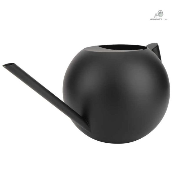 Arrosoir noir idéal pour la culture d'appartement