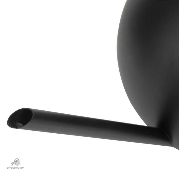Accessoire jardinage : arrosoir intérieur noir