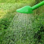 Arrosoir en métal léger avec embout fin pour arroser