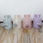 Arrosoir élégant à usage spécifique pour bonsaï