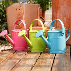 Arrosoir en métal pour jardinage