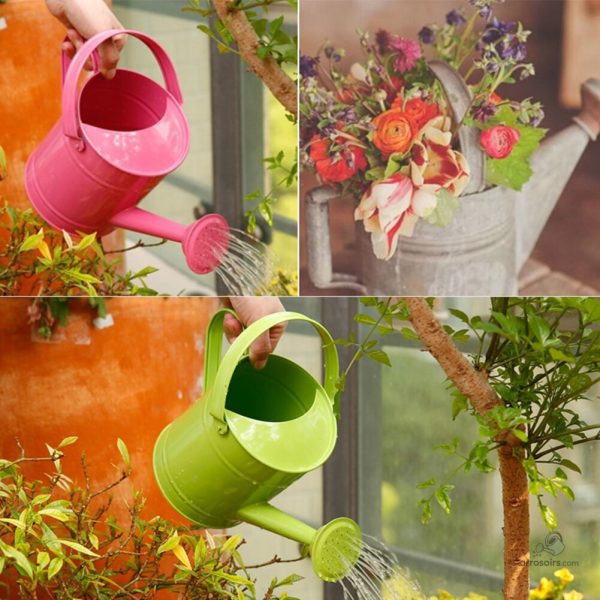 Arrosoir métal pour arroser les plantes