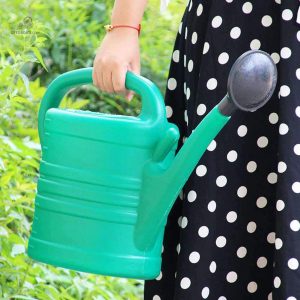 Arrosoir de jardin en plastique pour l'arrosage des plantes