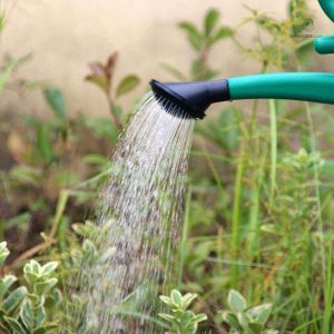 Conteneur d'arrosage en plastique pour un jardin bien entretenu
