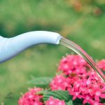 Arrosoir Licorne pour arroser les plantes d'intérieur