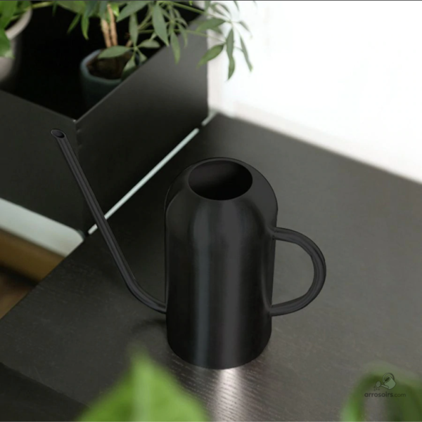 Arrosoir en métal, accessoire de jardinage stylé