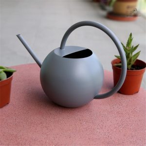 Arrosoir en métal gris pour un arrosage pratique