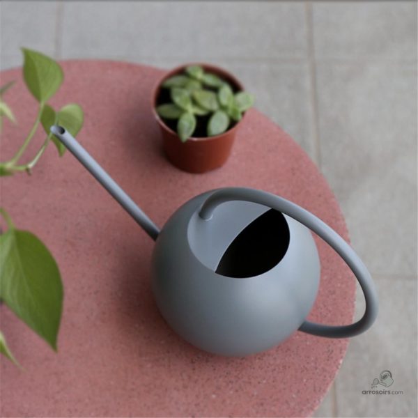 Arrosoir en métal gris, parfait pour les plantes d'intérieur