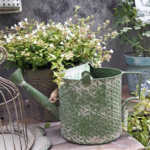 Arrosoir en métal Vintage, design rétro pour le jardinage