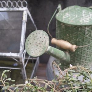Arrosoir vintage en métal, parfait pour l'arrosage des plantes