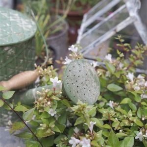 Arrosoir décoratif en métal, idéal pour un jardin rétro chic