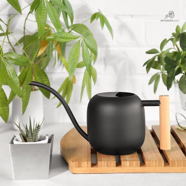 Arrosoir miniature 1.2 litres pour l'arrosage des plantes