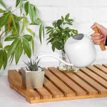 Arrosoir compact idéal pour les petites jardinières