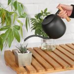 Mini arrosoir de 1.2 litres pour un arrosage précis