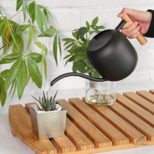Mini arrosoir de 1.2 litres pour un arrosage précis