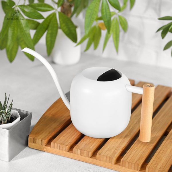 Arrosoir léger et pratique pour l'intérieur et l'extérieur