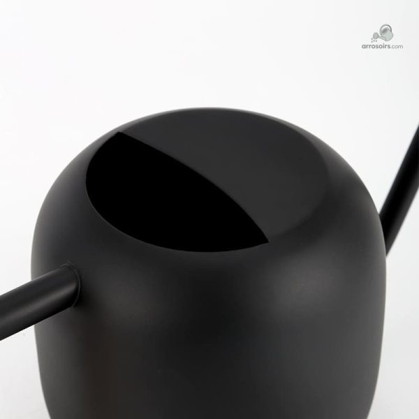 Design fonctionnel pour un arrosage en douceur des plantes