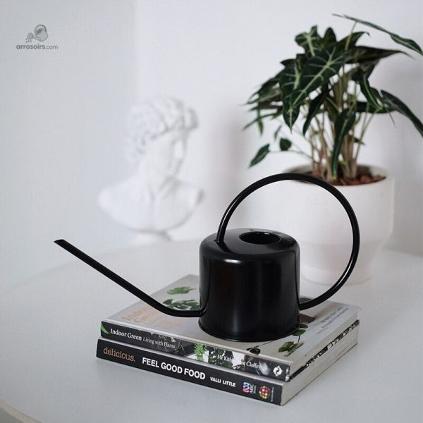 arrosoir-noir-etincelant-1 Arrosoir Noir étincelant pour l'arrosage des plantes