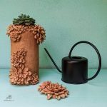 Arrosoir Noir Mat élégant pour un arrosage efficace