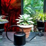 Arrosoir noir au design sobre et moderne pour jardin