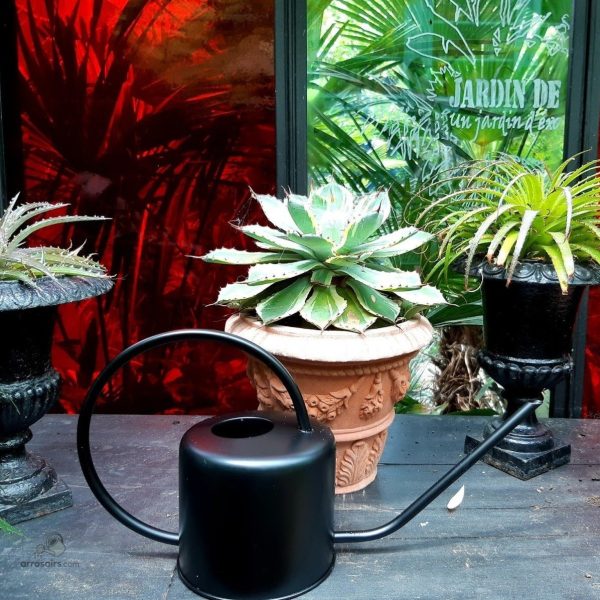 Arrosoir noir au design sobre et moderne pour jardin