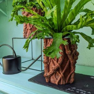 Arrosoir noir, parfait pour l'entretien de votre jardin