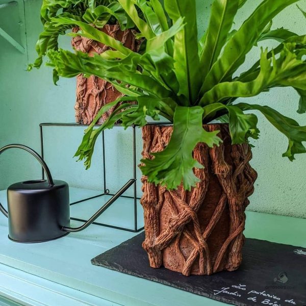 Arrosoir noir, parfait pour l'entretien de votre jardin
