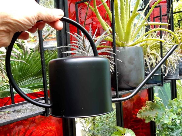 Arrosoir noir, accessoire pratique pour les amateurs de jardinage