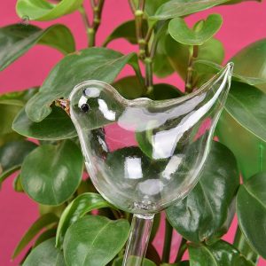Arrosoir Oiseau en Verre pour un arrosage délicat