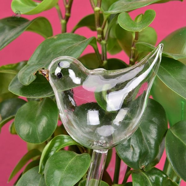 arrosoir-oiseau-en-verre-1 Arrosoir Oiseau en Verre pour un arrosage délicat